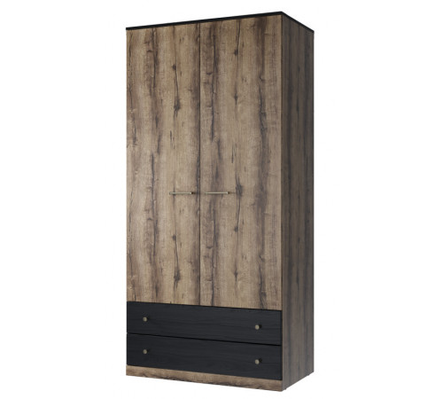 Двухстворчатый шкаф для одежды Джаггер 2DG2S Двухстворчатый шкаф для одежды Джаггер 2DG2S